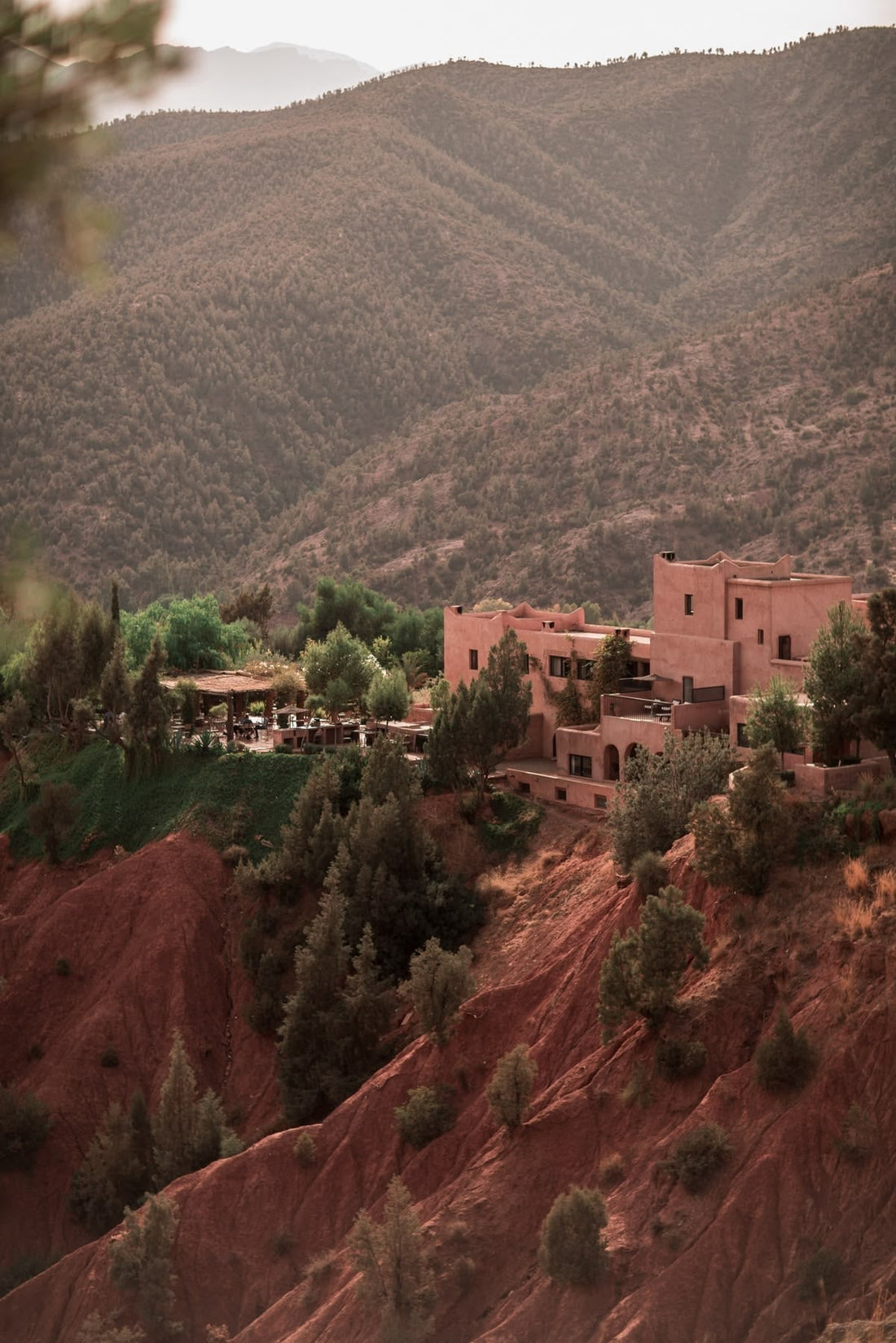 De l’Atlas à vos cheveux : au cœur du sourcing marocain