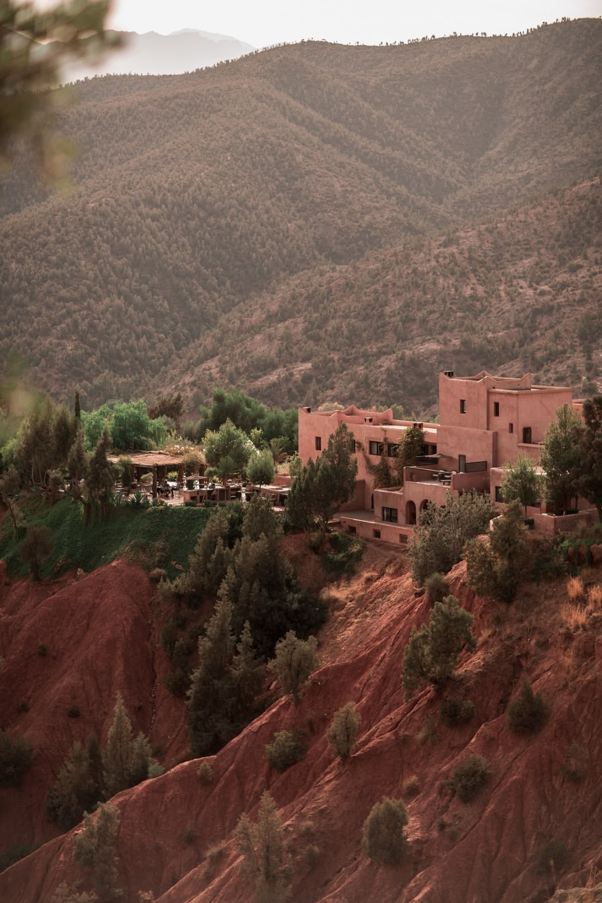 De l’Atlas à vos cheveux : au cœur du sourcing marocain