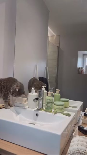 Masque Trico Therapy Repair